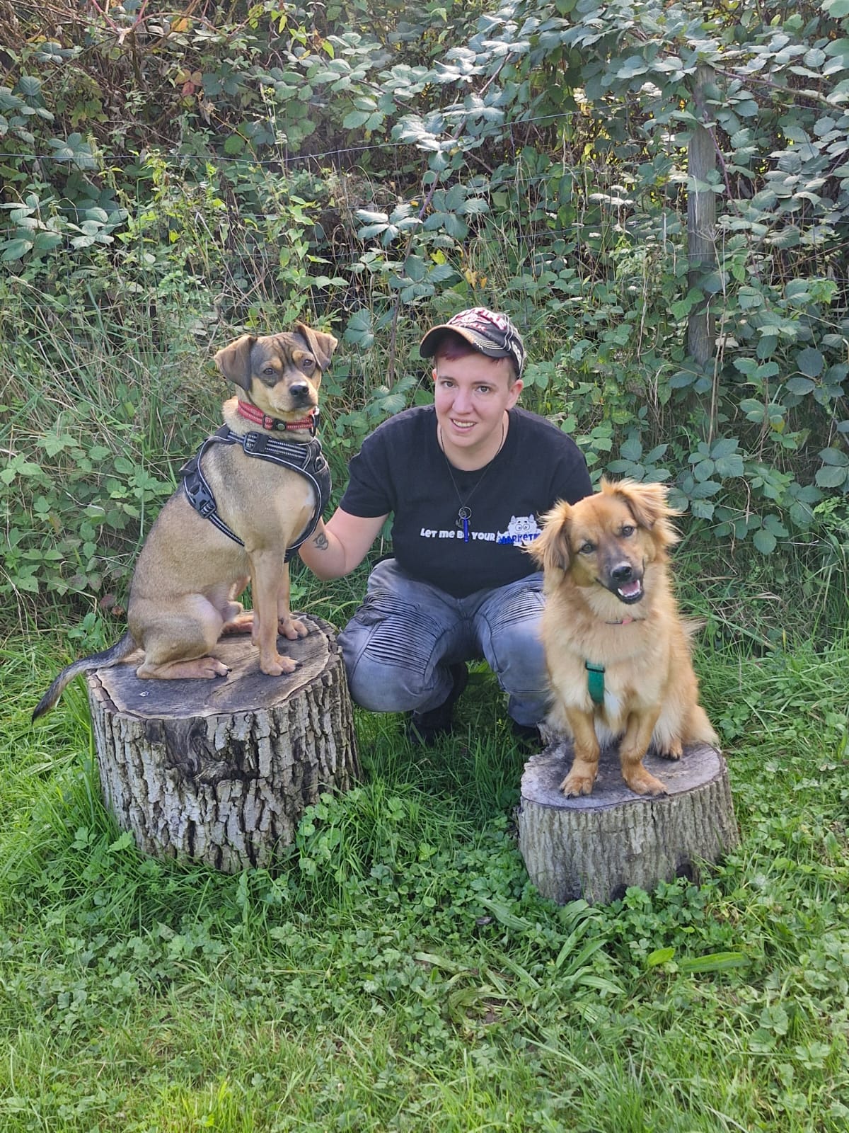Sassi mit den Tierschutzhunden Rocky und Foxy im Grünen