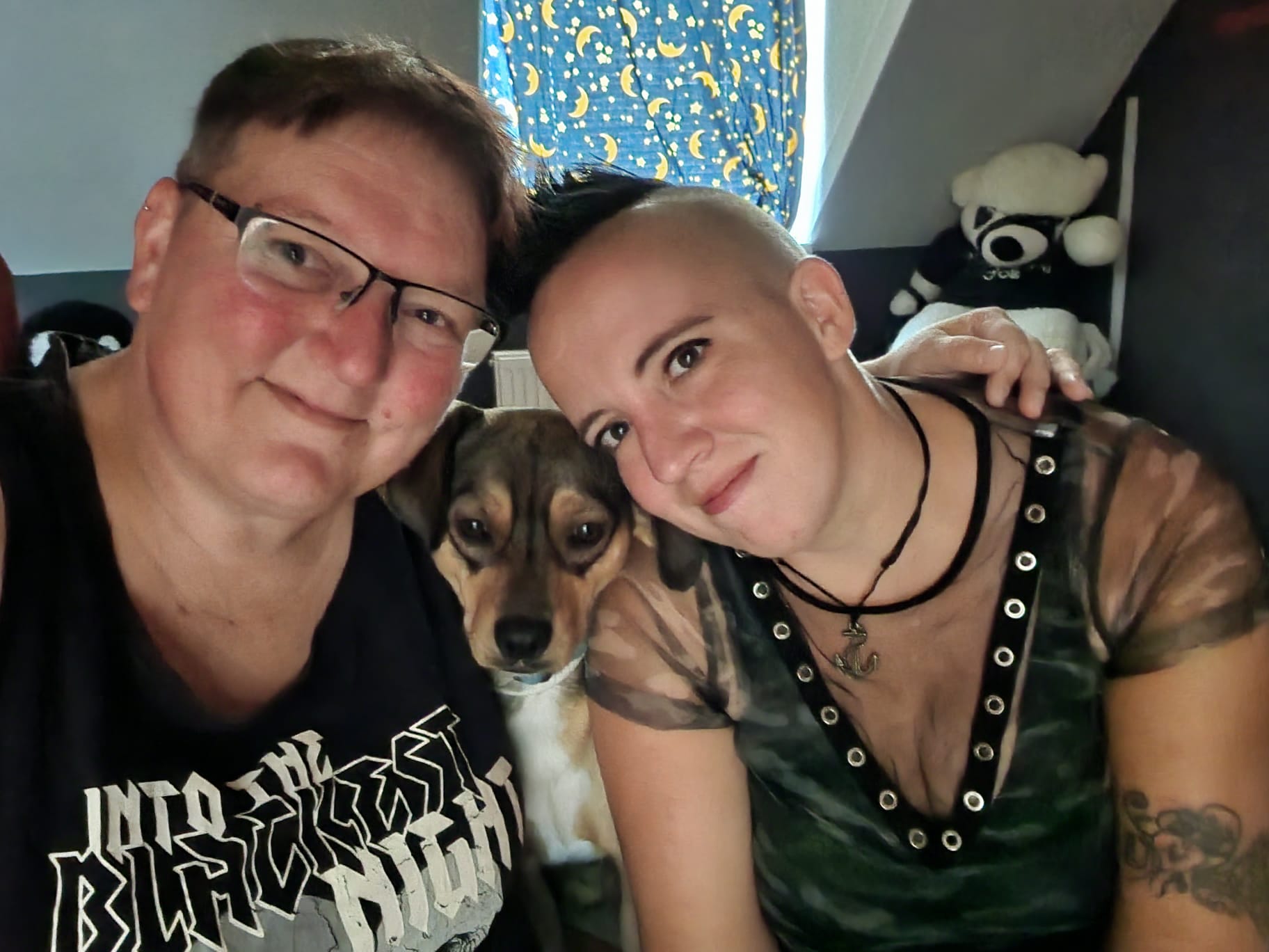 Melle, Sassi und Tierschutzhund Rocky als Teil des Rudels von Pawsitive Sassi