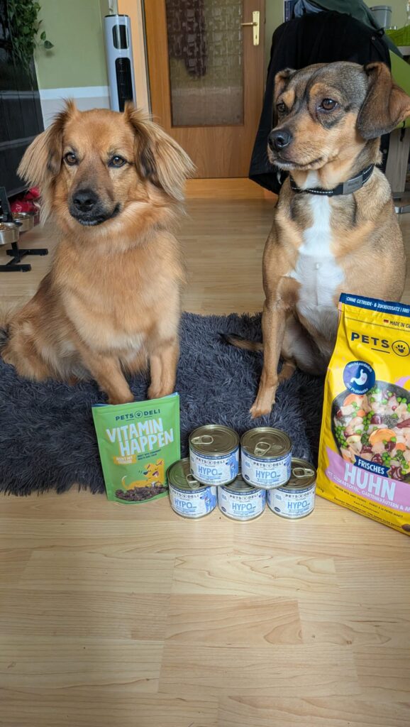 Die Tierschutzhunde Rocky und Foxy sitzen neben Produkten von Pets Deli, darunter Trockenfutter, Nassfutter und Hundesnacks.