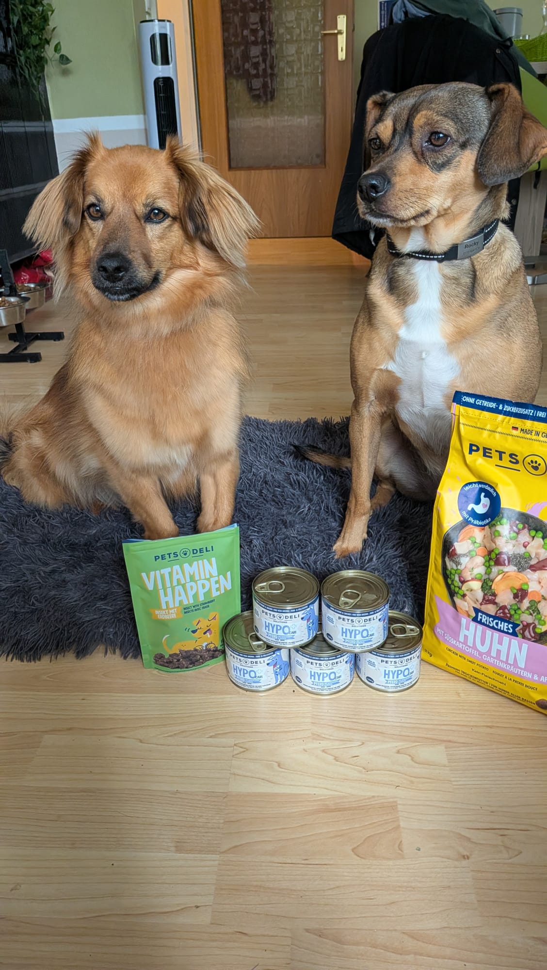 Rocky und Foxy testen Pets Deli Hundefutter und Hundesnacks im Alltag