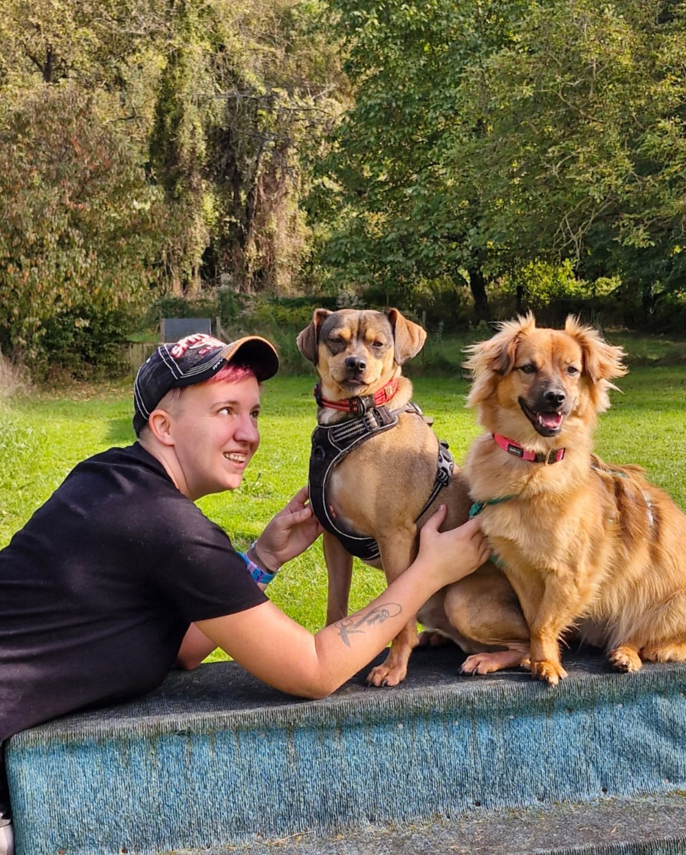 Sassi mit den Tierschutzhunden Rocky und Foxy beim gemeinsamen Hundealltag